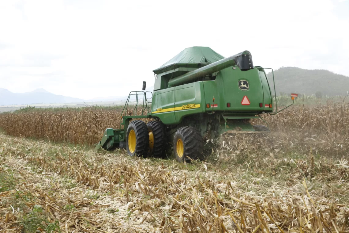 Reportag das fazendas SEDIAC CABOMDO ALDEIA NOVA