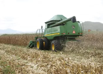 Reportag das fazendas SEDIAC CABOMDO ALDEIA NOVA