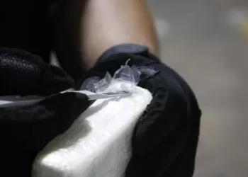 U.S. Customs and Border Protection and Homeland Security Investigations led a multi-agency inspection of the MSC Gayane that resulted in the seizure of about 35,000 pounds of cocaine discovered in seven shipping containers June 17, 2019.

More:

 The cocaine seizure is a CBP record. Photo by Steve Sapp, CBP Office of Public Affairs. Original public domain image from Flickr