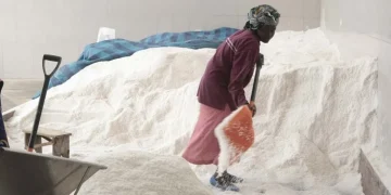 Ministra das Pescas adverte produtores de sal que “não tenham medo da inovação”