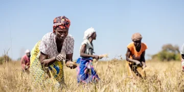 Banco Keve apresenta programa de apoio a agricultores no Cuanza Sul