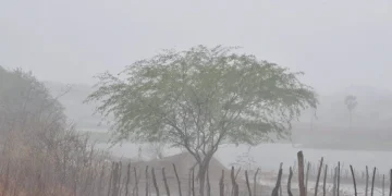 DR