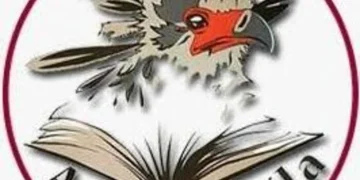 DR